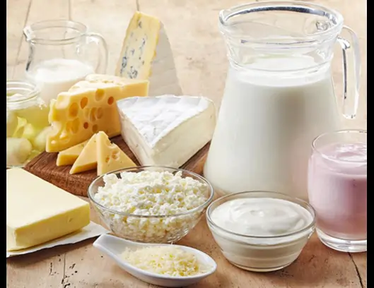 Mechanical Testing & Environmental Testing Lab In Bhopal | Krishna Digital Material Testing Laboratory